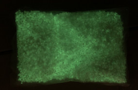Фотолюминесцентные гранулы для 3D-принтеров